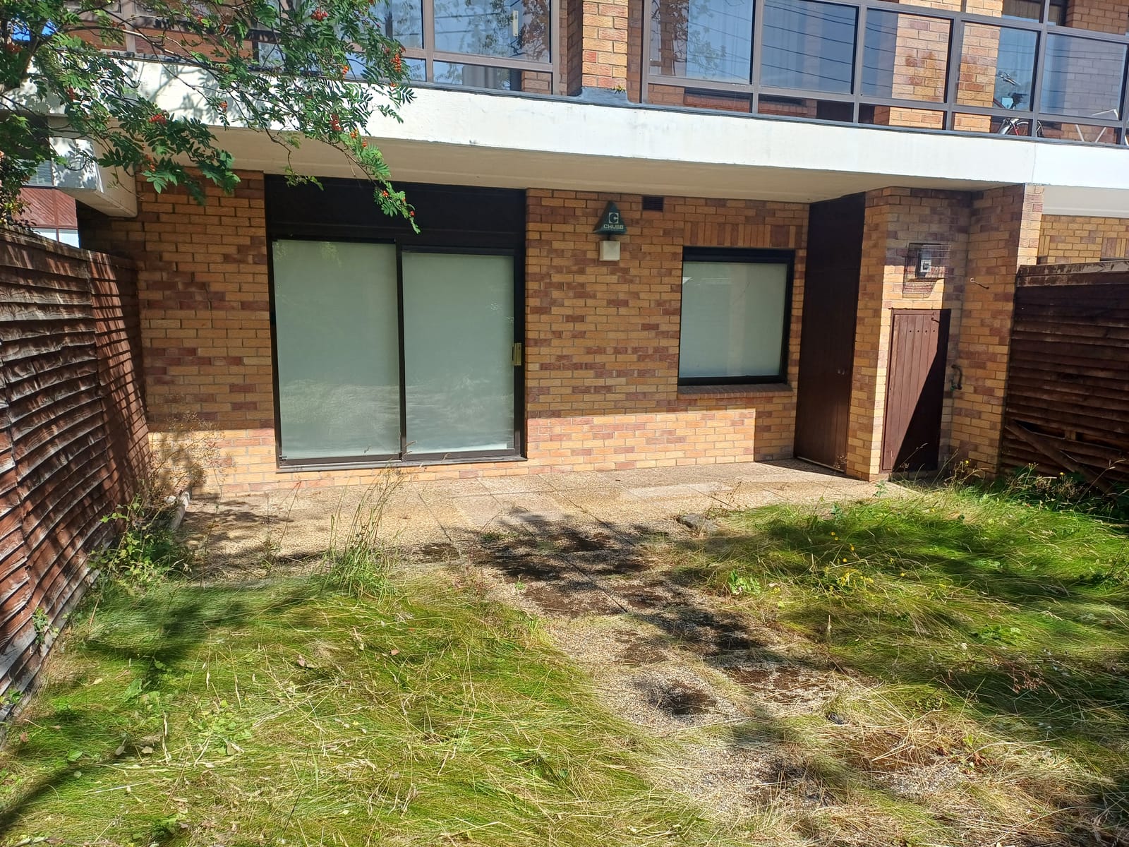 An overgrown garden and shed exterior before clearance